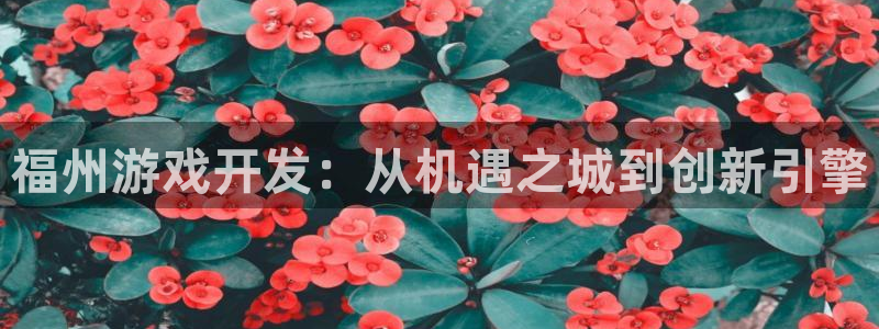沐鸣娱乐平台大不大呀：福州游戏开发：从机