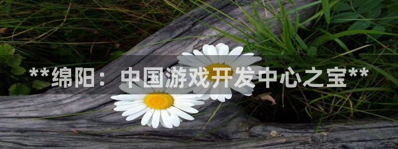 沐鸣注册开户：**绵阳：中国游戏开发中心
