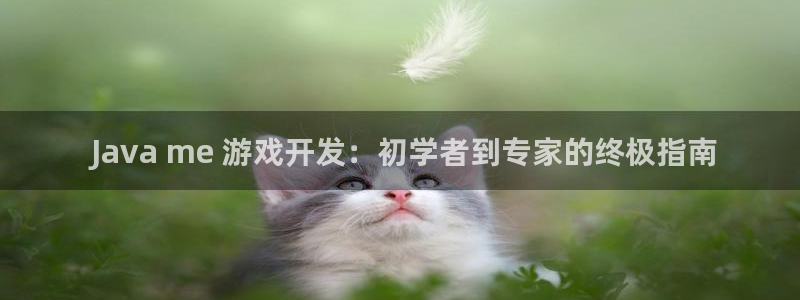 沐鸣娱乐平台登录入口： Java me 