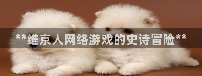 沐鸣4代理：**维京人网络游戏的史诗冒险