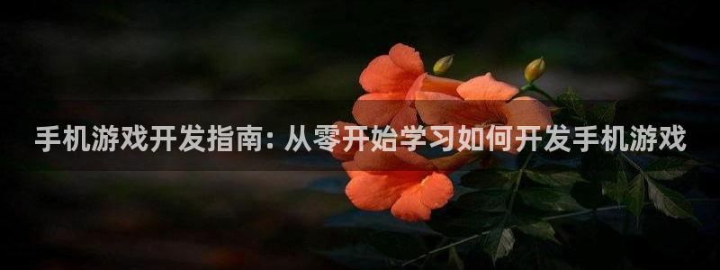 沐鸣科技业务：手机游戏开发指南: 从零开
