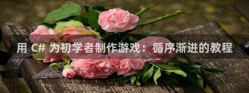 沐鸣科技游戏：用 C# 为初学者制作游戏