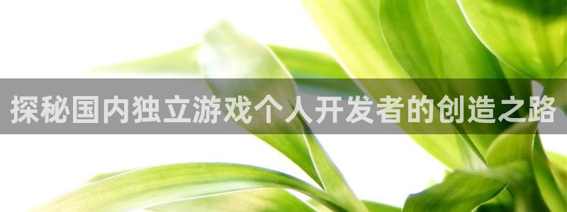 沐鸣平台登录：探秘国内独立游戏个人开发者