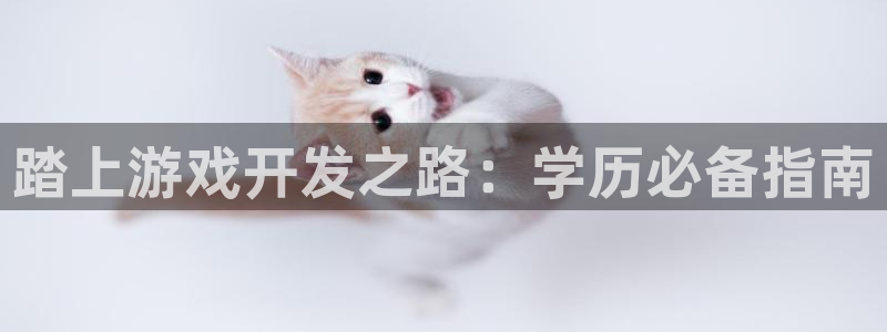 沐鸣4注册：踏上游戏开发之路：学历必备指