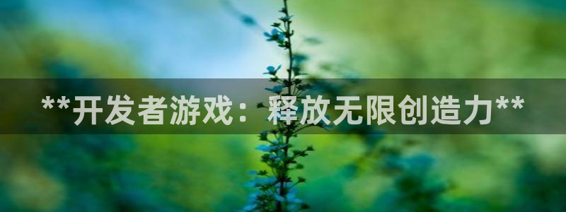 沐鸣平台总代理是谁：**开发者游戏：释放