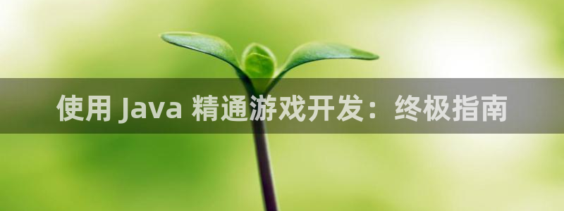 沐鸣平台代理注册多少