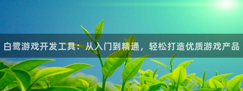 沐鸣平台代理注册多少钱一年啊：白鹭游戏开