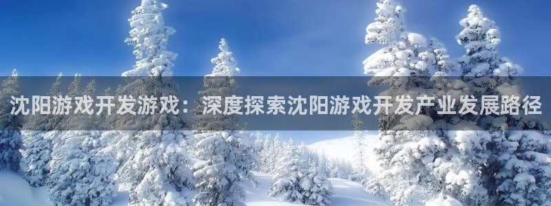 沐鸣注册登录：沈阳游戏开发游戏：深度探索