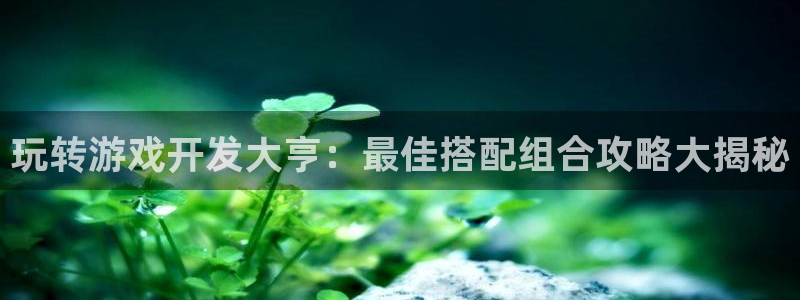 沐鸣平台官网登录：玩转游戏开发大亨：最佳