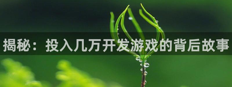 沐鸣1平台：揭秘：投入几万开发游戏的背后