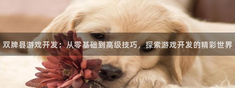 沐鸣平台登陆：双牌县游戏开发：从零基础到