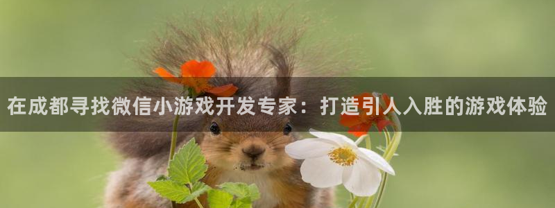 沐鸣娱乐注册登录平台官网：在成都寻找微信