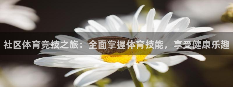 ug环球官网注册：社区体育竞技之旅：全面掌握体育技能，享受健康乐趣