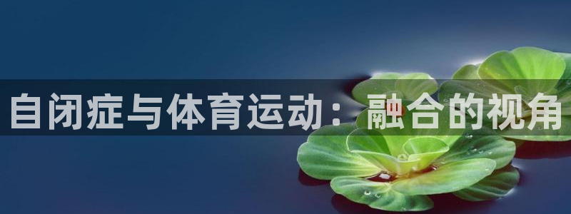 ug环球官网：自闭症与体育运动：融合的视角