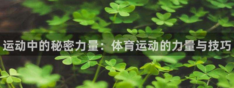 ug环球官网注册：运动中的秘密力量：体育运动的力量与技巧