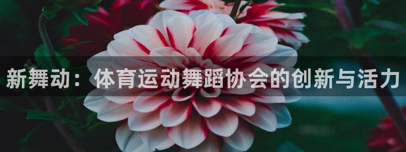 ug环球官网：新舞动：体育运动舞蹈协会的创新与活力