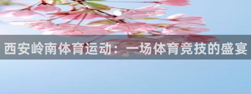 菲律宾ug环球官网：西安岭南体育运动：一场体育竞技的盛宴