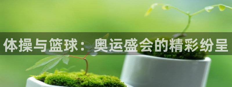 ug环球官网登录入口：体操与篮球：奥运盛会的精彩纷呈