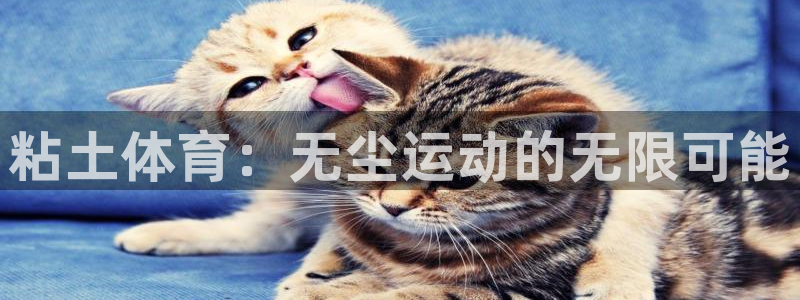 ug环球官网注册：粘土体育：无尘运动的无限可能