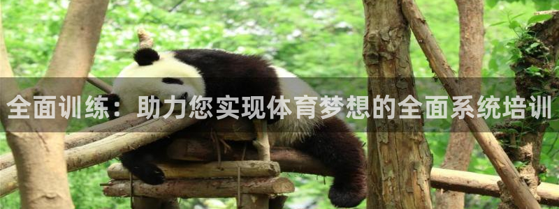 菲律宾ug环球官网：全面训练：助力您实现体育梦想的全面系统培训