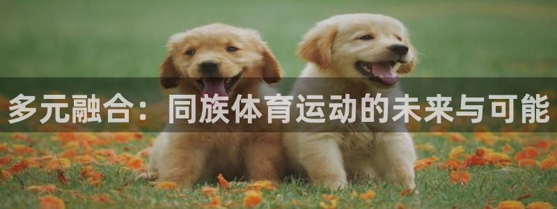 ug环球官网登录入口：多元融合：同族体育运动的未来与可能
