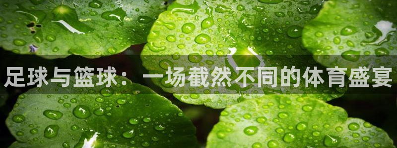 ug环球官网登录入口：足球与篮球：一场截然不同的体育盛宴