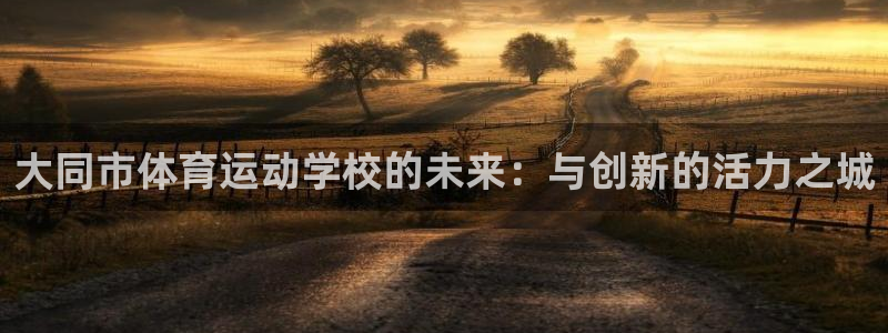 菲律宾ug环球官网：大同市体育运动学校的未来：与创新的活力之城