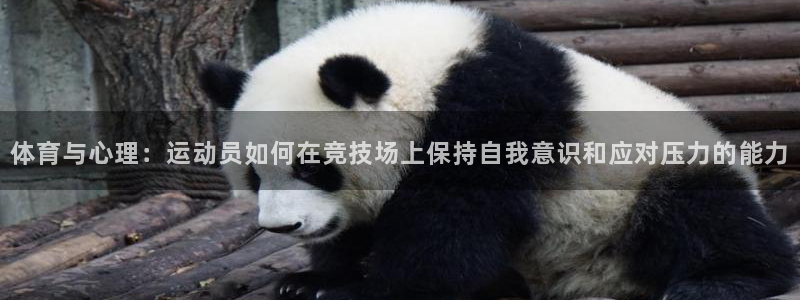 ug环球官网注册：体育与心理：运动员如何在竞技场上保持自我意识和应对压力的能力