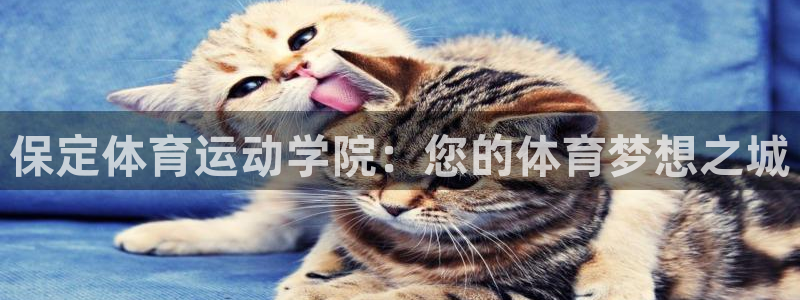 保定体育运动学院：您的体育梦想之城