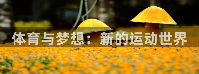 ug环球官网：体育与梦想：新的运动世界