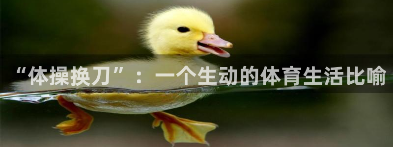 ug环球官网：“体操换刀”：一个生动的体育生活比喻