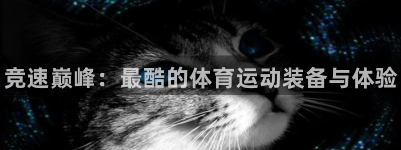 ug环球官网注册：竞速巅峰：最酷的体育运动装备与体验