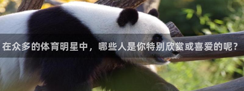 ug环球官网：在众多的体育明星中，哪些人是你特别欣赏或喜爱的呢？
