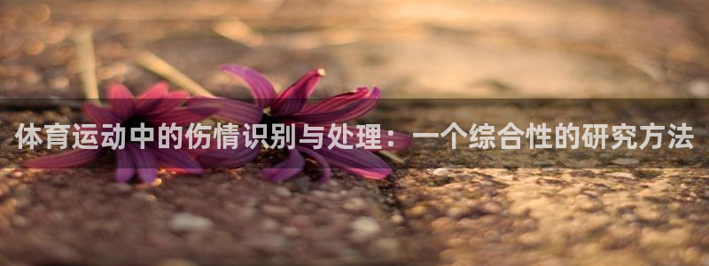 ug环球官网注册：体育运动中的伤情识别与处理：一个综合性的研究方法