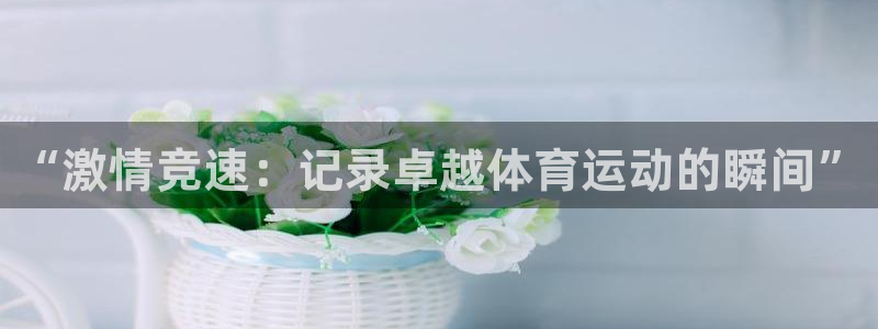 ug环球官网登录入口：“激情竞速：记录卓越体育运动的瞬间”