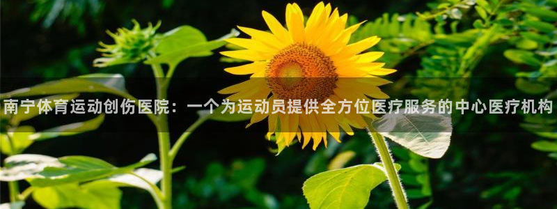 ug环球官网：南宁体育运动创伤医院：一个为运动员提供全方位医疗服务的中心医疗机构