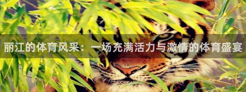 菲律宾ug环球官网：丽江的体育风采：一场充满活力与激情的体育盛宴
