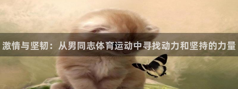 ug环球官网：激情与坚韧：从男同志体育运动中寻找动力和坚持的力量