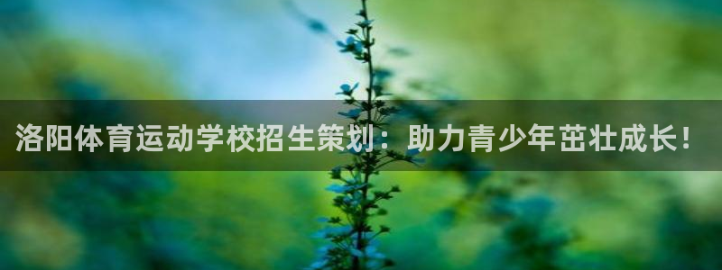 ug环球官网登录入口：洛阳体育运动学校招生策划：助力青少年茁壮成长！