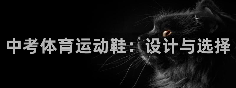 ug环球官网：中考体育运动鞋：设计与选择