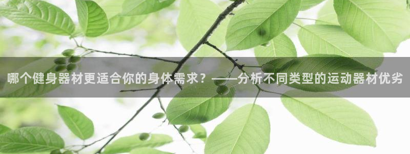 ug环球官网：哪个健身器材更适合你的身体需求？——分析不同类型的运动器材优劣