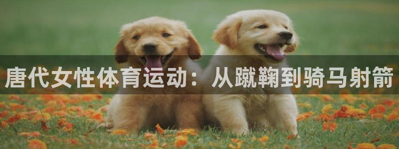 ug环球官网：唐代女性体育运动：从蹴鞠到骑马射箭