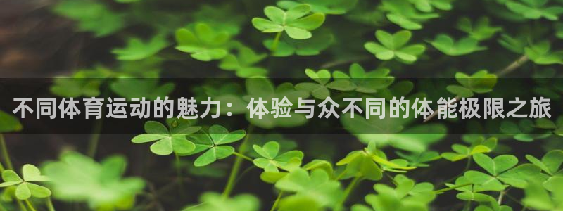 ug环球官网注册：不同体育运动的魅力：体验与众不同的体能极限之旅