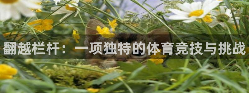 ug环球官网登录入口：翻越栏杆：一项独特的体育竞技与挑战