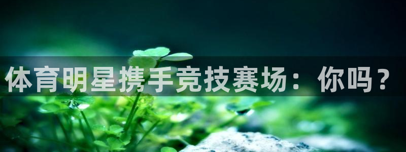 ug环球官网登录入口：体育明星携手竞技赛场：你吗？