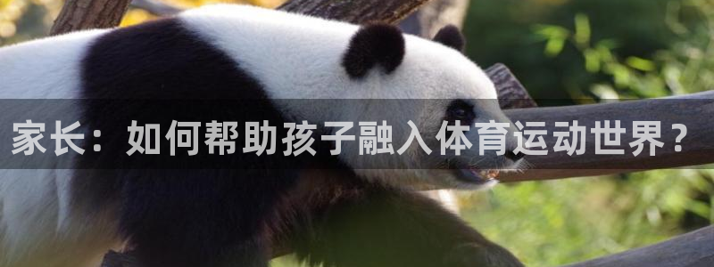 ug环球官网：家长：如何帮助孩子融入体育运动世界？