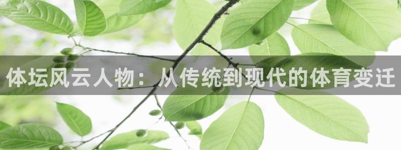 ug环球官网注册：体坛风云人物：从传统到现代的体育变迁