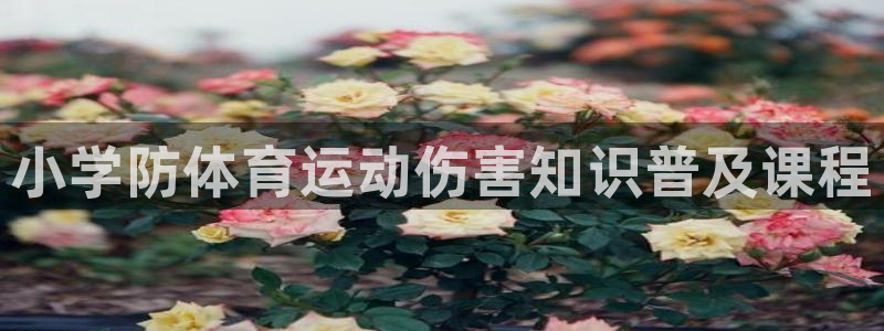 ug环球官网登录入口：小学防体育运动伤害知识普及课程