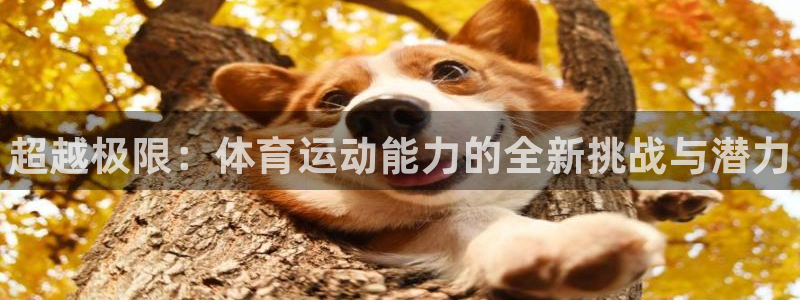 ug环球官网登录入口：超越极限：体育运动能力的全新挑战与潜力